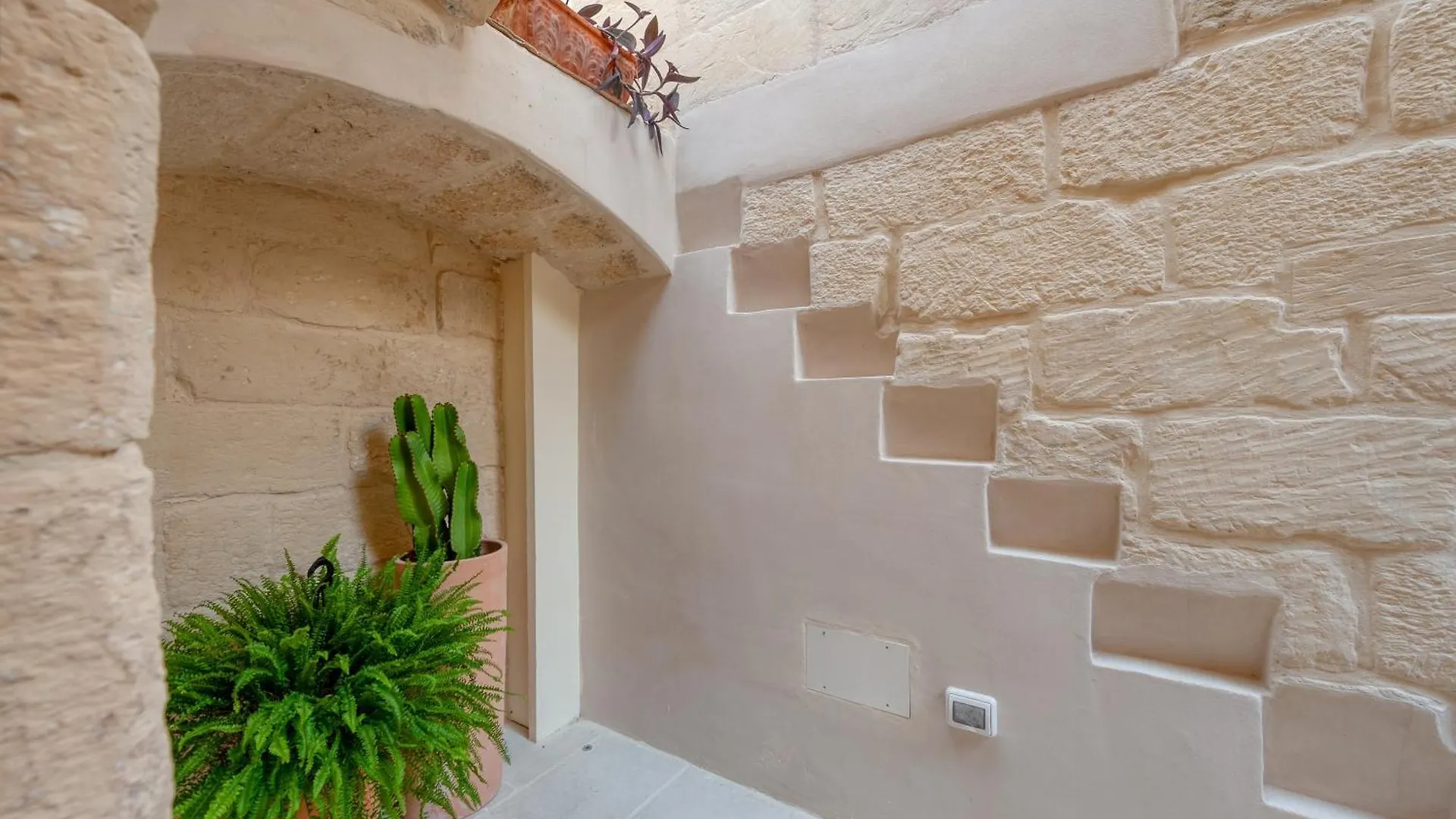 Via Cota 24 Bed and Breakfast Λέτσε